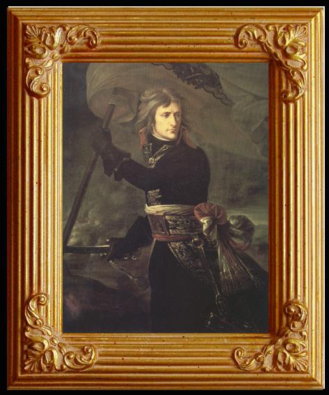 framed  Baron Antoine-Jean Gros Napoleon Bonaparte on the Bridge at Arcole (nn03), Ta035